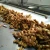 Import Chinese mature fresh ginger from China