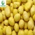 Import Chinese Shandong cheap organic chestnuts fresh sweet chestnut from China