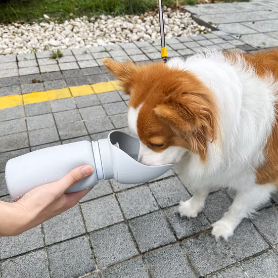 Collapsible Outdoor Pet Water Cup for Dogs