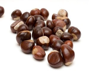 Competitive price chestnuts,health food,buy chestnuts