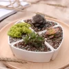 Competitive Price Triangle shape Succulent Planter Pot White Modern Decorative Desktop plant pot