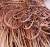 Import Copper Wire Scraps 99.99% , Brass Honey Scraps, Fridge Compressor Scraps from Canada