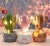 Import Creative gift wedding decoration Nordic style small fresh cactus with lights star lights from China