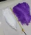 Import Curly Ostrich feather for sale  wedding decor feather crafts from China