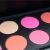 Import Custom makeup blusher, pink blush, blush palette 10 colors from China