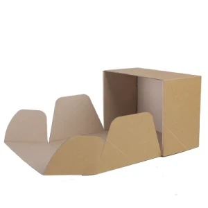 Custom Size Recycle White Color Printing Kraft Paper Corrugated Boxes