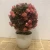 Import custom Succulent cactus desktop decoration lavender bonsai artificial plant potted with Cement basin from China