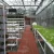 Import Customized size growing media chamber hydroponic grow tower from China