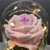 Decorative flower  High Quality gift flowers Artificial Rose in glass dome with led light Valentine&#39;s day flowers artificial