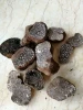 Detan Sliced Black Magic Truffles Mushrooms Dried for Sale