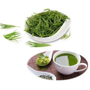 Directly Sell 100% Natural Green Tea Extract Factory Supply Catechin Egcg L Theanine