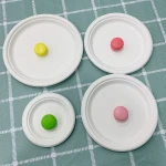 Disposable Tableware Biodegradable Sugar Cane Bagasse Paper Dishes and Plates 7
