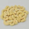 Dried Style and Healthy Snacks Use CASHEW NUTS/ CASHEW KERNELS WW240/ WW320/ WW450/ WS/ LP/ SP
