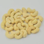 Dried Style and Healthy Snacks Use CASHEW NUTS/ CASHEW KERNELS WW240/ WW320/ WW450/ WS/ LP/ SP