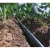Import Drip Irrigation System for Agriculture from China