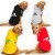 Import DZ10 Wholesale dog clothes pet clothes dog  Designer dog clothes  pet apparel from China