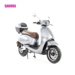 EEC certificate electric scooter with removable lithium battery 4000W