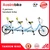 Import ELECTRIC SURREY BIKE 4 person surrey bike with roof LED lighting from China