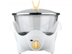 Electronic Glass Slow Cooker