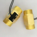 ESM-TLK88W  G1 thread Spring return water flow switch