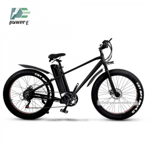 Europe Warehouse 48V 750W Strong Power Electric Fat Bike 15Ah Lithium Battery Electric Bicycle