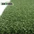 Import Excellent UV - Stability Sports Plastic Grass For Cricket Pitch Artificial Carpet from China