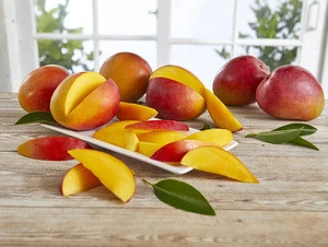 Export fresh peach with high quality