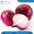Import Export Quality Fresh Red Onion from India