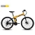 Import Factory Price Giant Electric Bicycle Mountain Bike MTB Carbon Fiber Mountain Bike With Folding Frame from China
