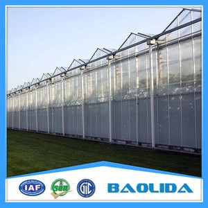 Factory Price PC Sheet Covered Agricultural Greenhouse For Vegetable Seeds