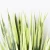 Import Factory Sales Artificial Green Leaf Plant Wall Home Decor cheap price landscaping Artificial grass Plants from China