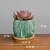 Import Free sample Round Marbling Ceramic Succulent Pots Cactus Planter Flower Pot Container with Bamboo Tray Drainage from China