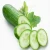 Import Fresh and healthy cucumber in Viet nam/ HTGoGo from Vietnam