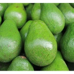 FRESH AVOCADO high quality