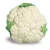 Import Fresh Cauliflower from Bangladesh