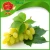 Import Fresh Grapes Seedless Fresh Grapes Seedless GREEN Grapes from China