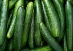 Fresh Green Cucumber For Sale