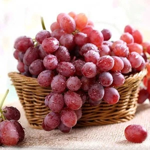 Fresh red globe superior seedless grapes
