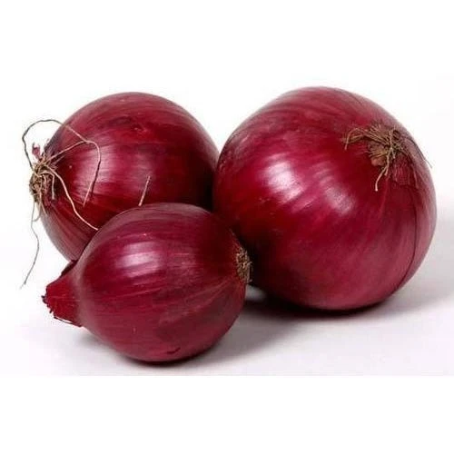 Fresh Red Onion Exporters in Pakistan