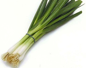 Fresh Scallions/Fresh Green Onion