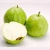 Import Fresh  seedless guava fruit fruit vietnam  +84917494755  whatsapp from Vietnam