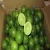 Import Fresh Seedless Lime from Germany