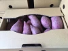 Fresh Sweet Potatoes from Vietnam