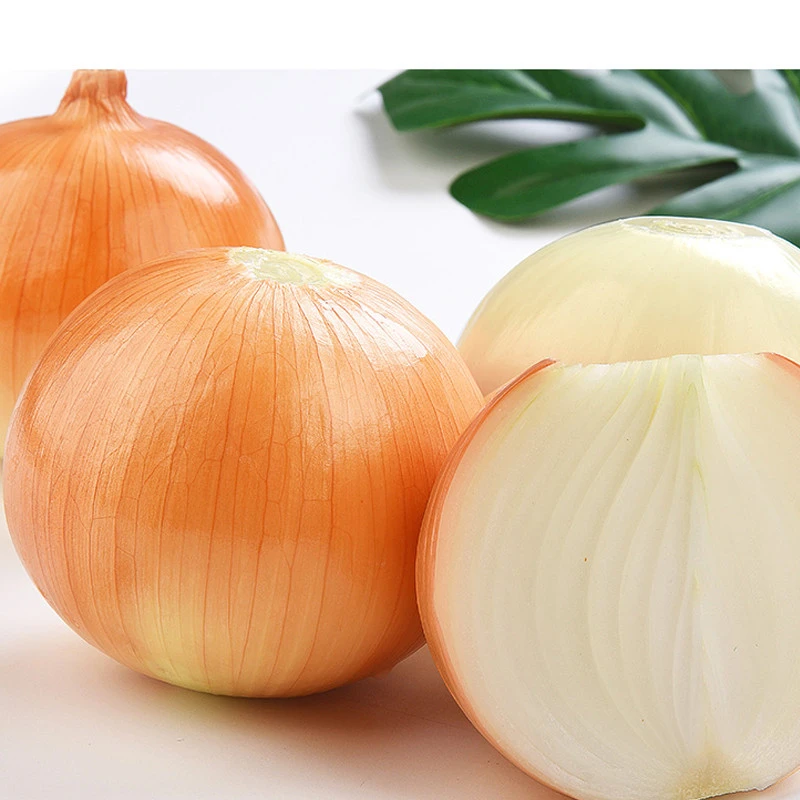 fresh yellow onion price by onions exporter