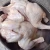 Import Frozen Chicken Breasts Quarter Legs Drumsticks from Thailand
