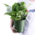 gallon army green Color plastic nursery pots standard plant pot sizes