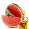 global exporter of  Watermelon Oil at best price