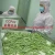 Import Good Quality IQF Frozen Fresh Green Soy Bean from China