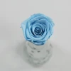 grade b 5-6 cm long lasting real touch preserved rose everlasting roses flower head in box