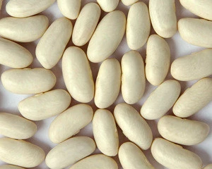 Green Lima Beans Kidney Beans Navy Beans